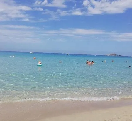 Legni Di Mare